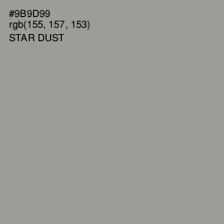 #9B9D99 - Star Dust Color Image
